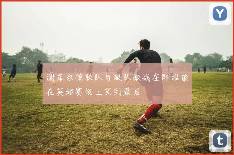 谢菲尔德联队与狼队激战在即谁能在英超赛场上笑到最后
