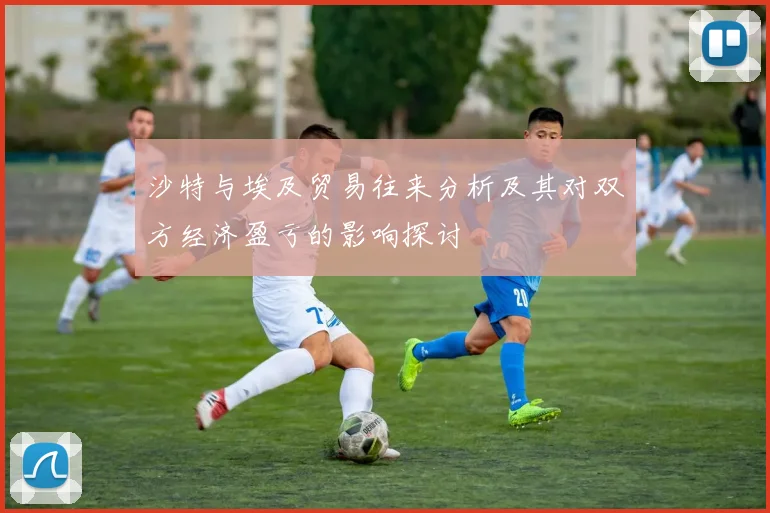 沙特与埃及贸易往来分析及其对双方经济盈亏的影响探讨