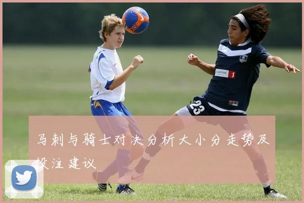 马刺与骑士对决分析大小分走势及投注建议